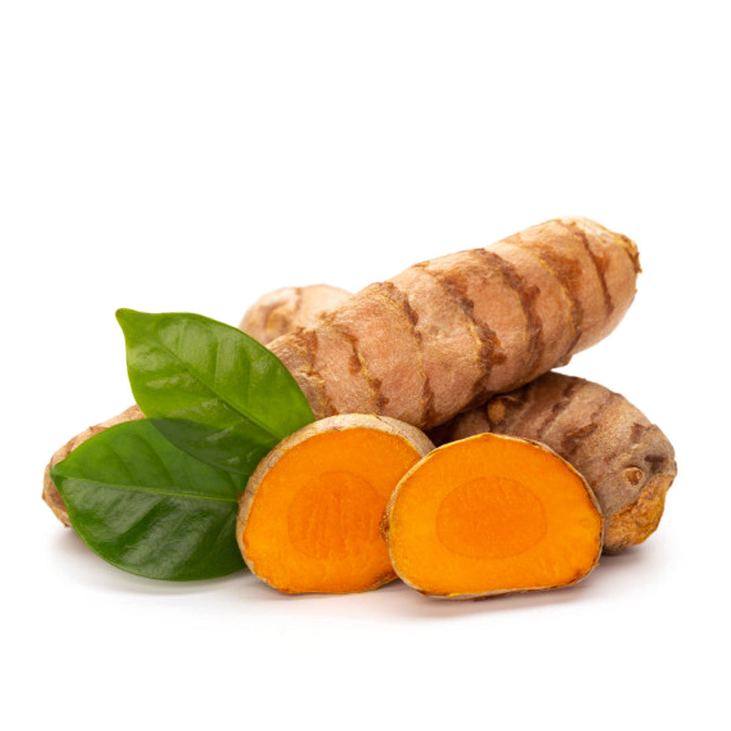 Fresh Turmeric Haldi Root
