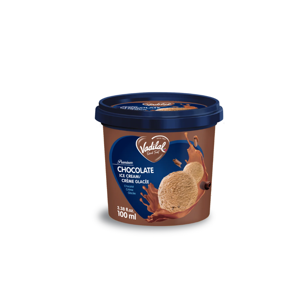 Vadilal Chocolate Ice Cream 100g