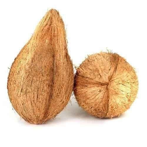 Coconut Fresh Each