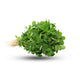 Methi Leaves Each