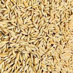 Dhanraj Paddy Rice 400g