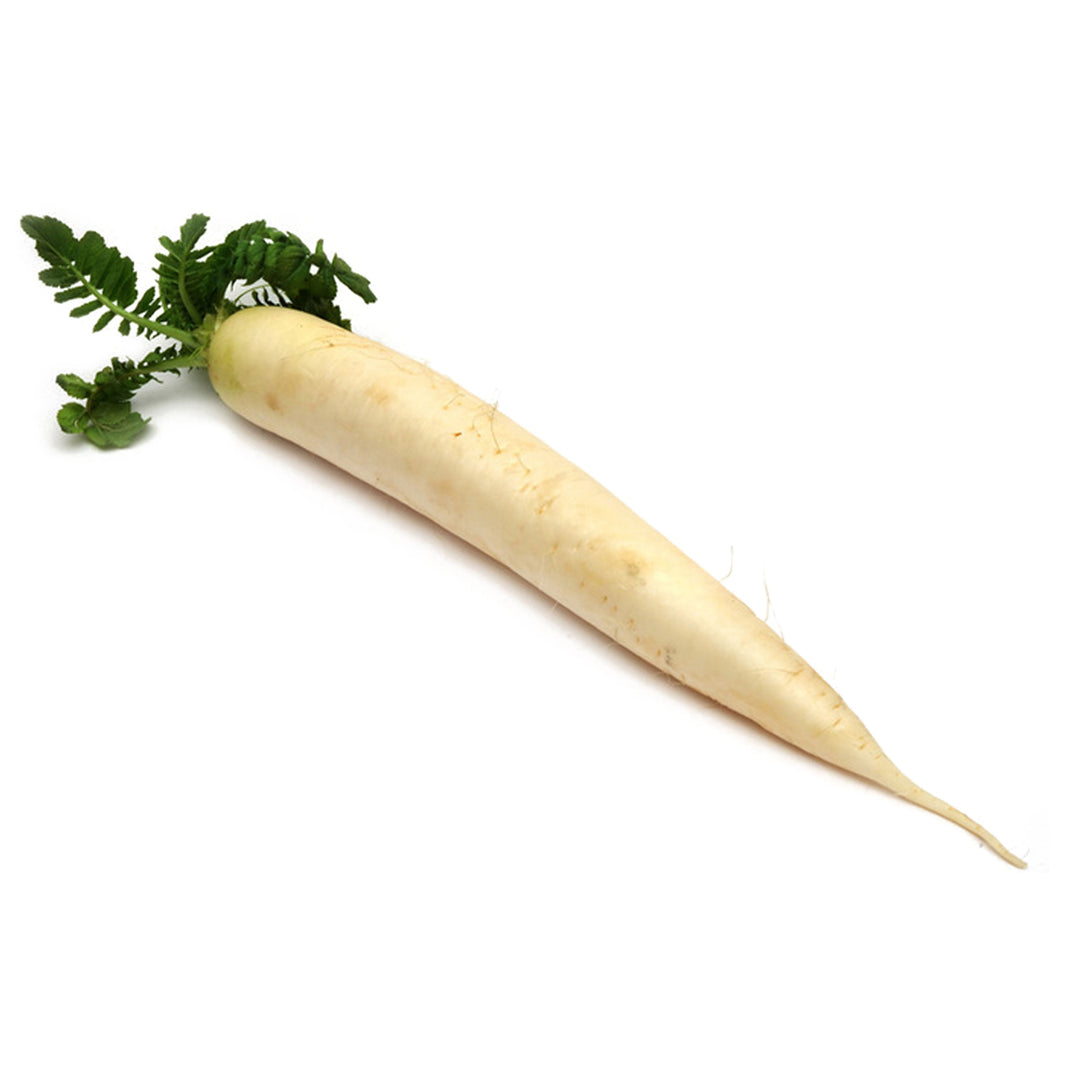 Muli Daikon Radish