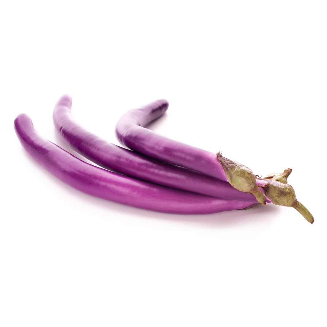 Eggplant Long Chinese