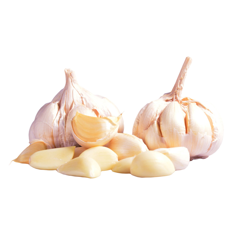 Fresh Garlic