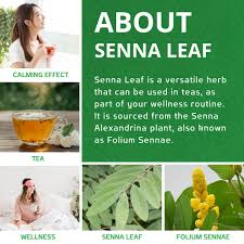 Jiva Organics Senna Leaf 8 Oz