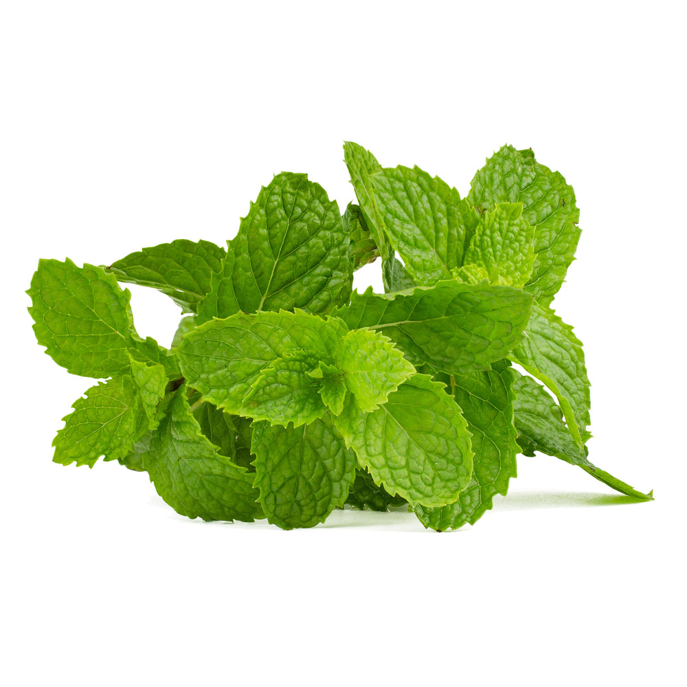 Mint (Pudina)