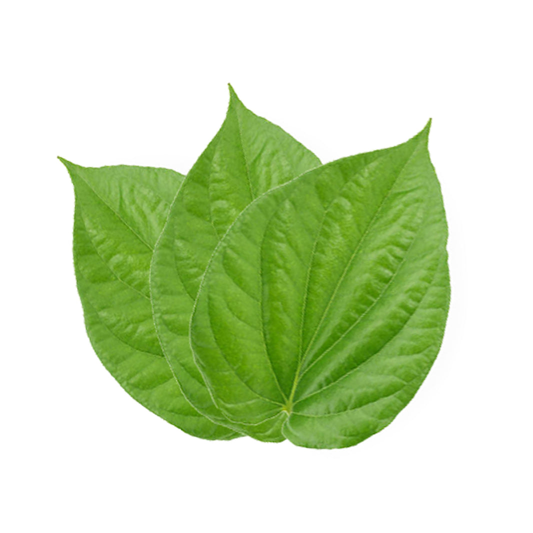 Paan Leaves Betel