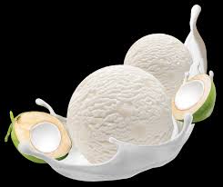 Vadilal Coconut Malai Ice Cream 1 Liter