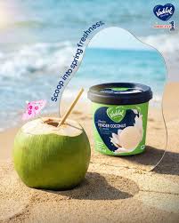 Vadilal Coconut Malai Ice Cream 1 Liter