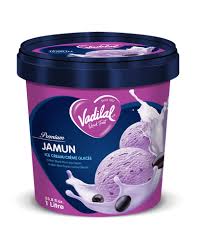 Vadilal Jamun Ice Cream 1 Liter
