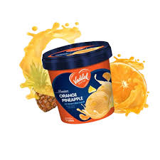 Vadilal Orange Pineapple Ice Cream 1 Liter