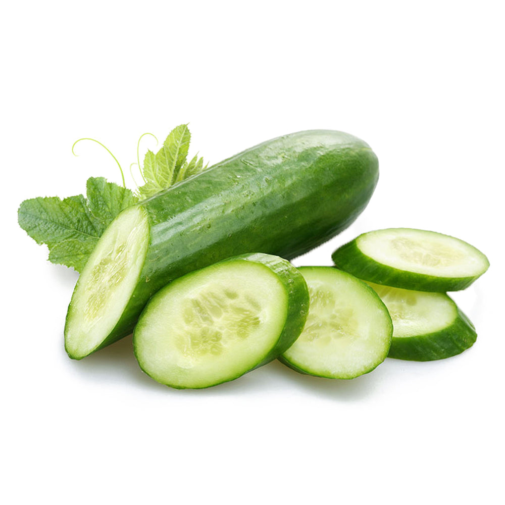 Cucumber Persian